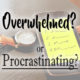 Overwhelmed or Procrastinating?